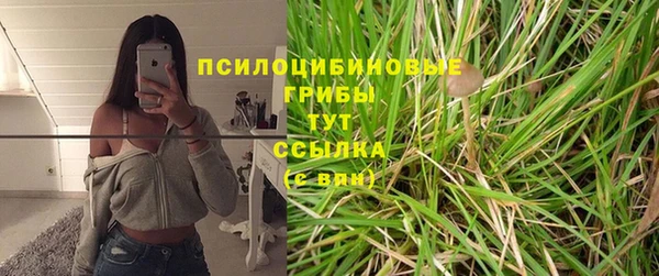 герыч Алзамай