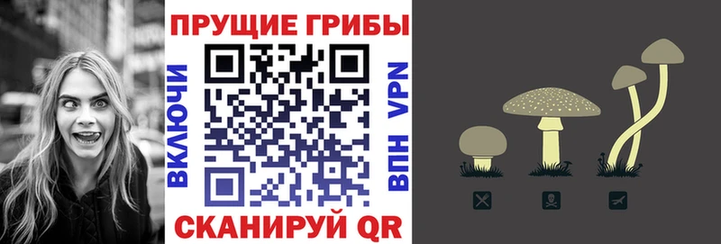 Псилоцибиновые грибы Magic Shrooms Большой Камень